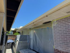 Exterior Painting