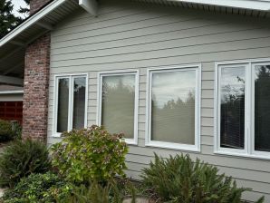 Before & After House Painting in Seattle, WA (7)