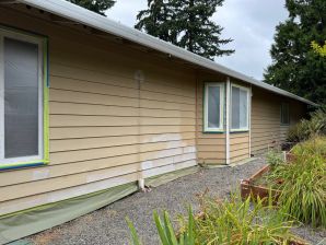 Before & After House Painting in Seattle, WA (5)